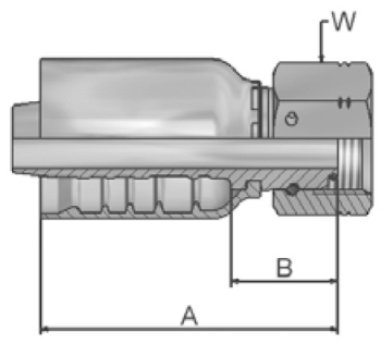 Female Hose End-3/4Inch BSP c/w o-ring