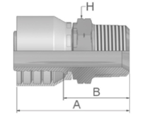 Male BSPT Rigid Straight Male BSPT Rigid Straight